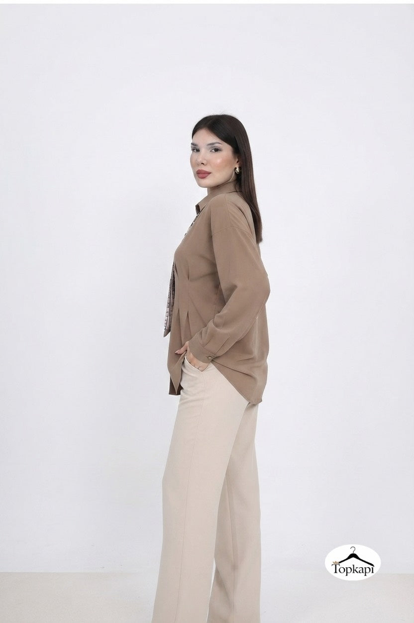 Elegant Blouse ( Brown ) 199201